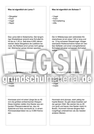 Tiernamen 19.pdf